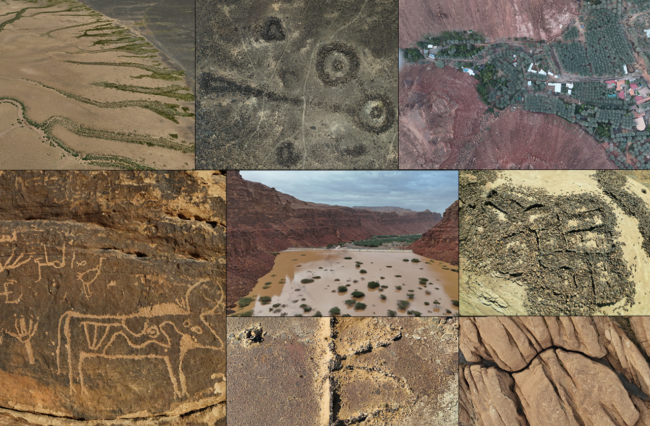 Digital Knowledge Base & Content