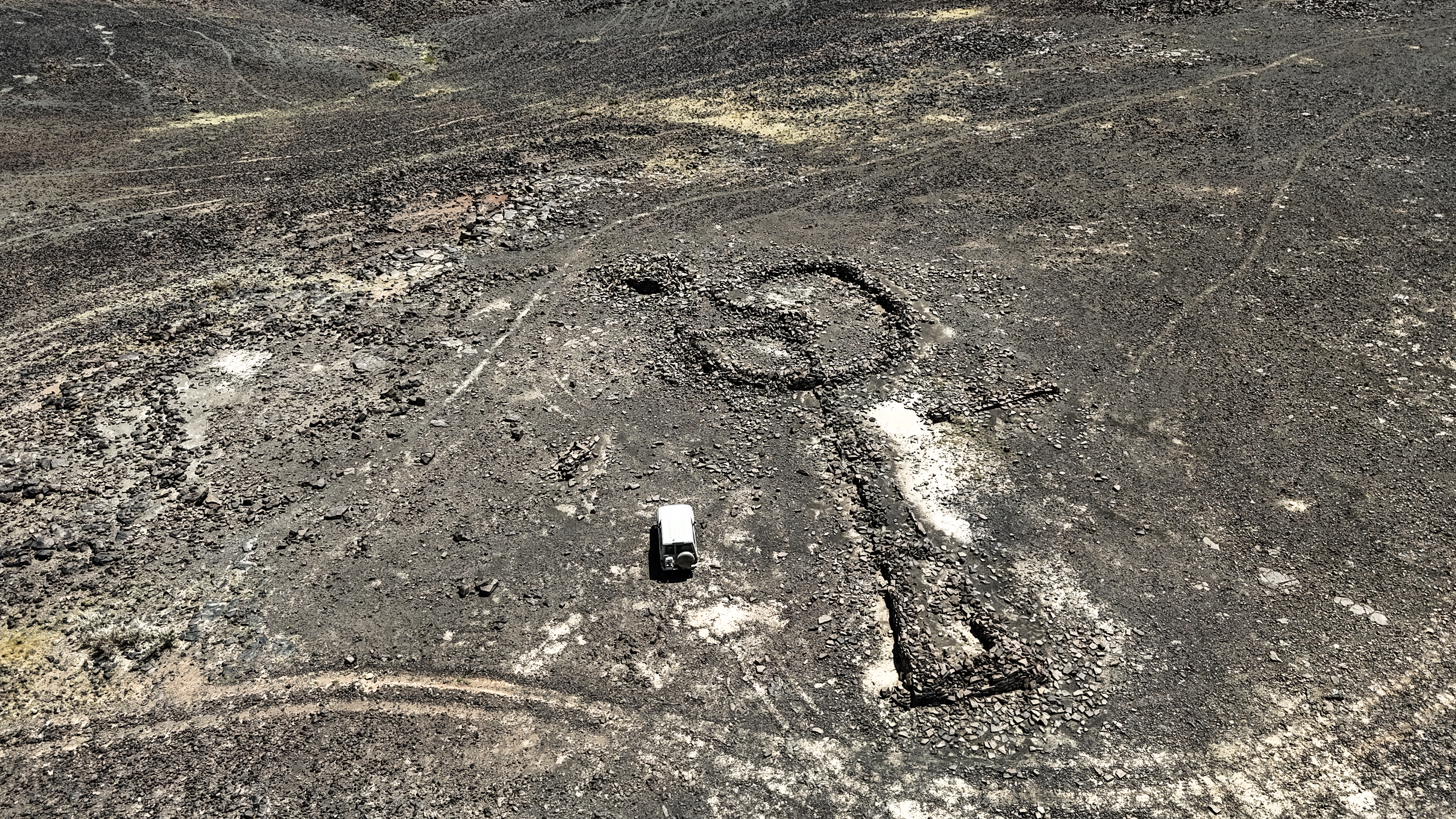 Local Expertise & Ground Knowledge